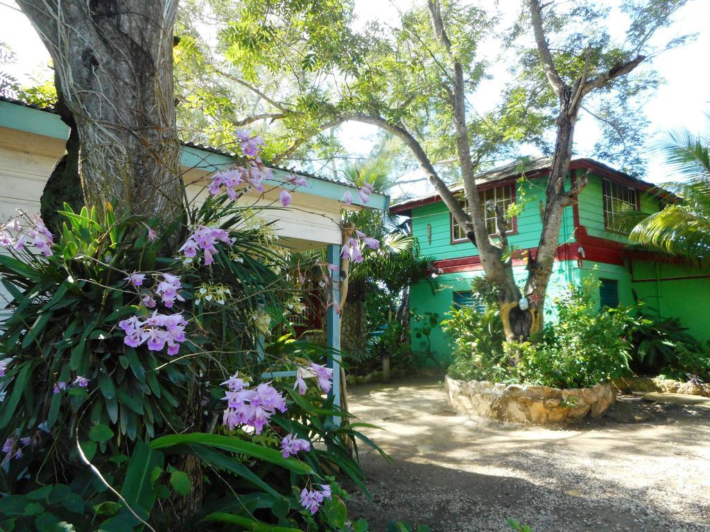 Banana Shout Resort Negril Dış mekan fotoğraf