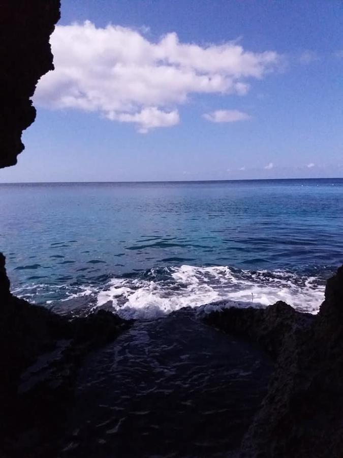 Banana Shout Resort Negril Dış mekan fotoğraf